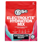 Electrolyte+ Hydration Mix - Booty N Buff 